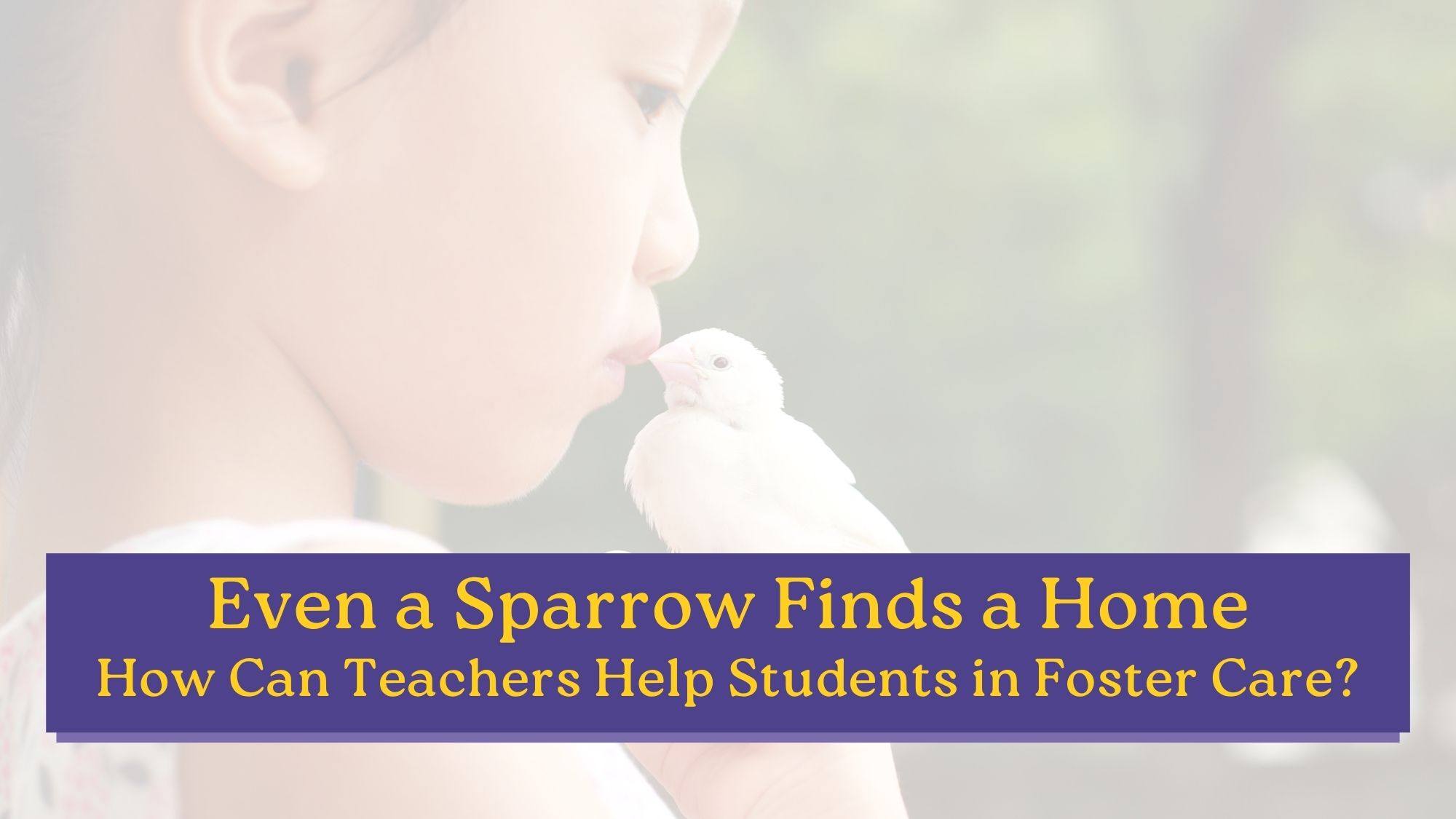 A young child gently kisses a small white bird perched on their fingers, symbolizing the tenderness behind the question — how can teachers help students in foster care?